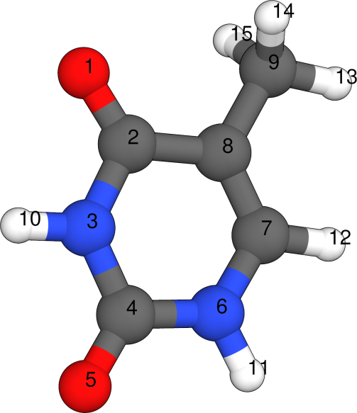 Thymine input structure